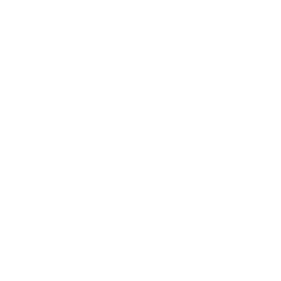 Steamify®