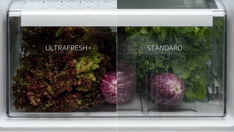 Salaattia jääkaapissa